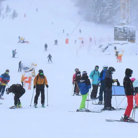 Feriehus Place Royale Pour 10 A 12 Personnes A 30 Met Des Pistes De Et Vtt